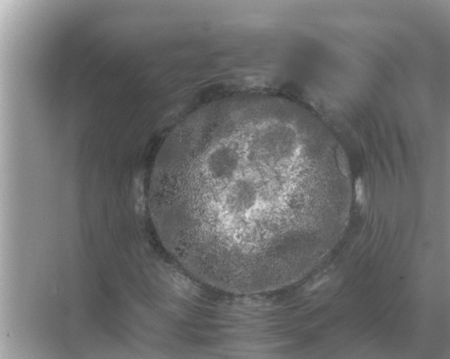 X0000071761203200607142353