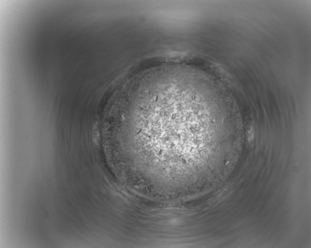 X0000071761204200607142353