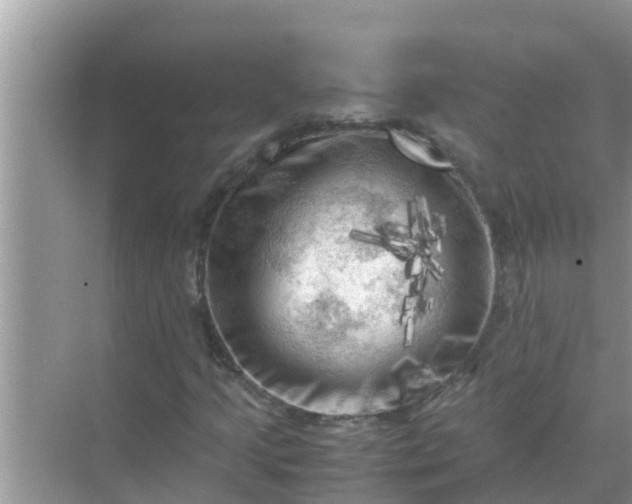 X0000071761205200607142353