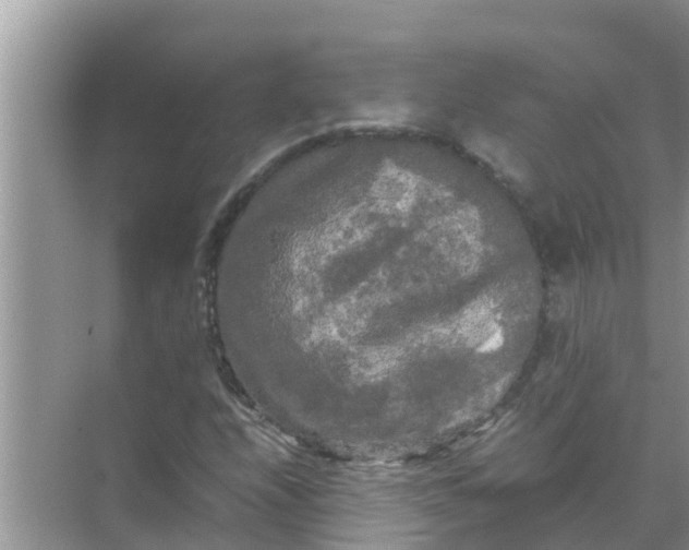 X0000071761208200607142353