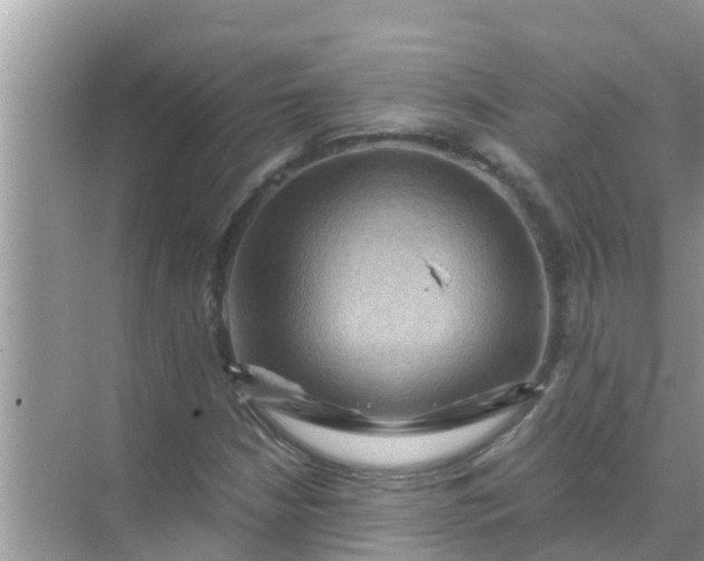 X0000071761210200607142353