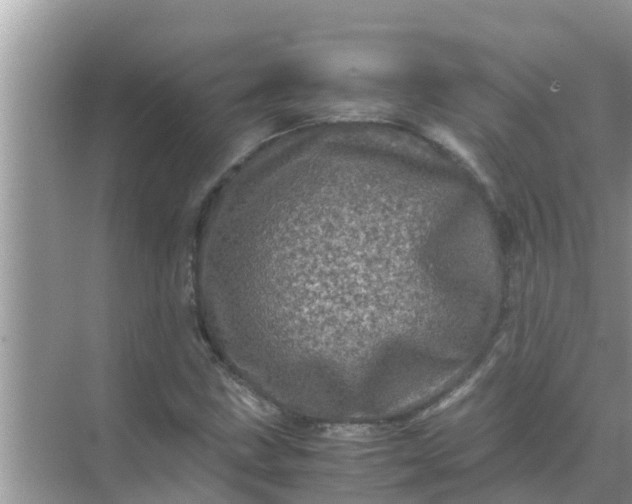 X0000071761211200607142353