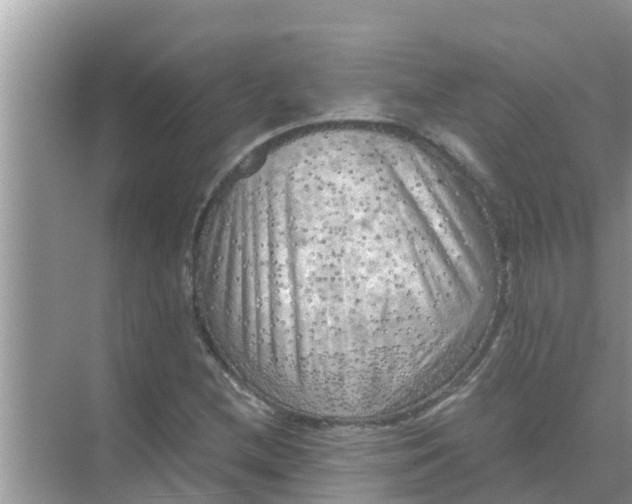 X0000071761212200607142353