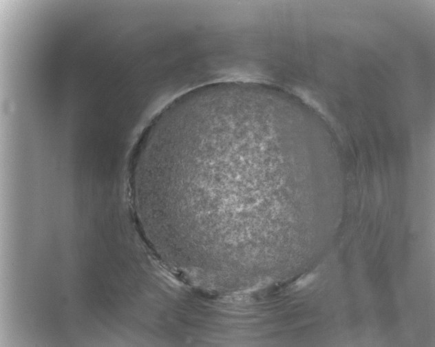 X0000071761215200607142353