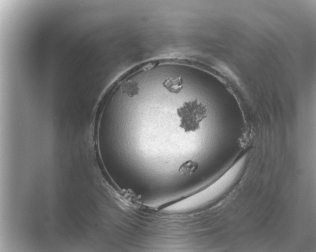 X0000071761216200607142354