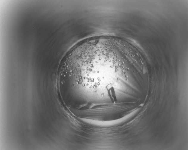 X0000071761220200607142354