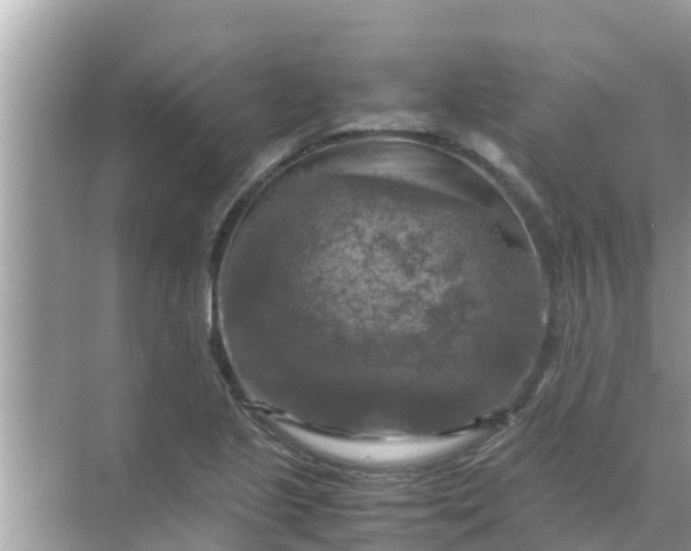 X0000071761221200607142354