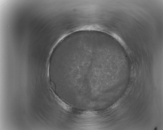 X0000071761224200607142354