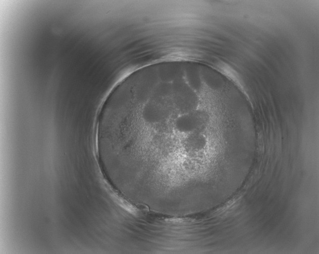 X0000071761227200607142354