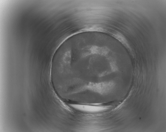 X0000071761228200607142354