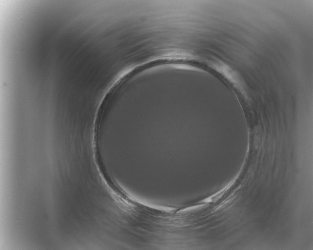 X0000071761229200607142354