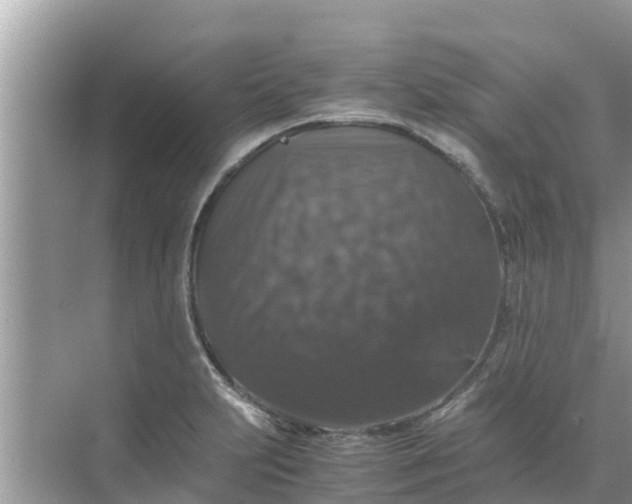 X0000071761231200607142354