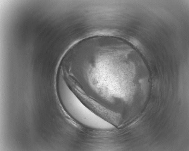 X0000071761232200607142354