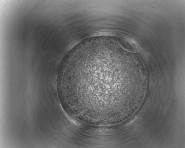 X0000071761233200607142354