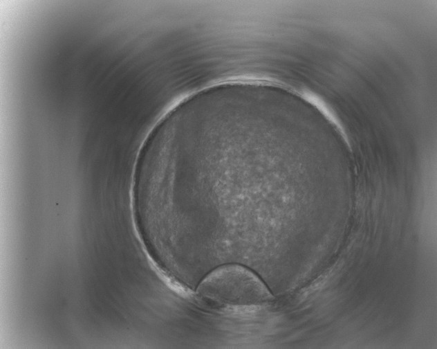 X0000071761237200607142354