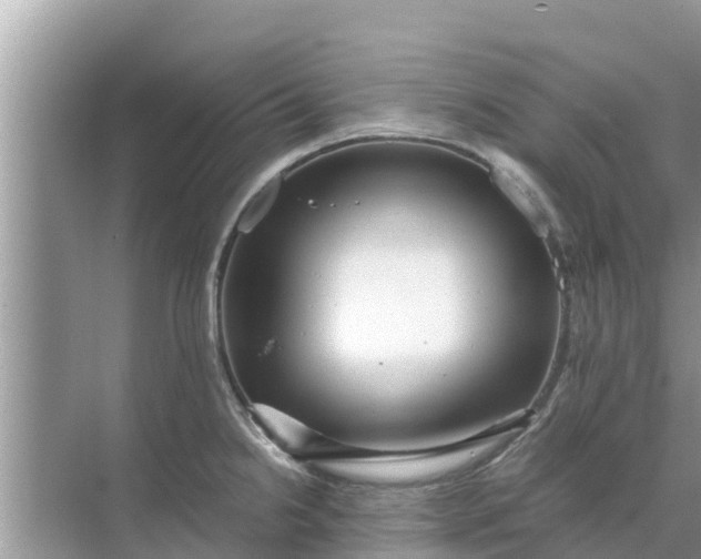 X0000071761238200607142354