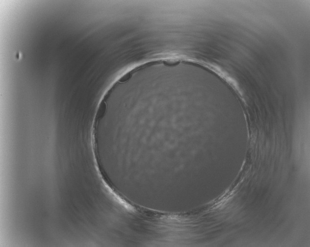 X0000071761239200607142354