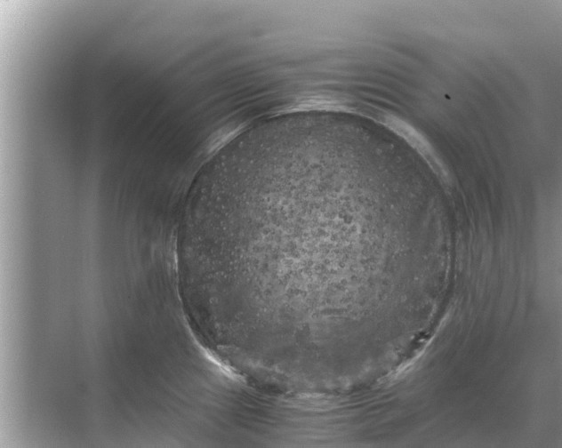 X0000071761241200607142354