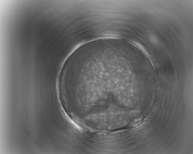 X0000071761243200607142354