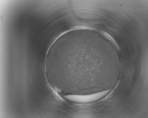 X0000071761244200607142354