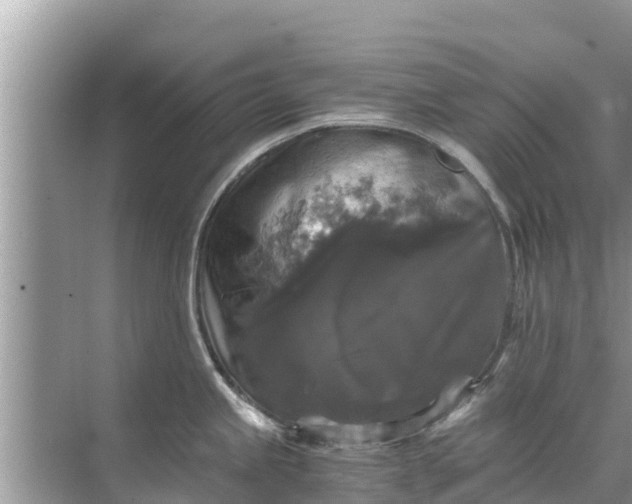 X0000071761245200607142354