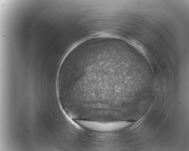 X0000071761247200607142354