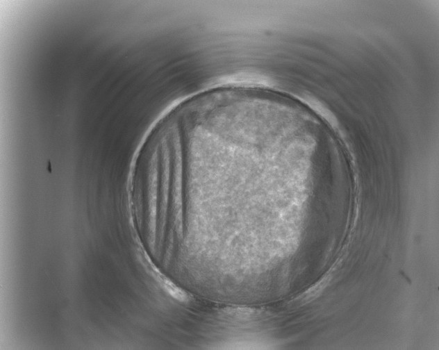 X0000071761248200607142354