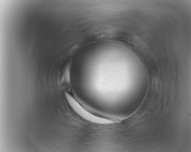 X0000071761250200607142353