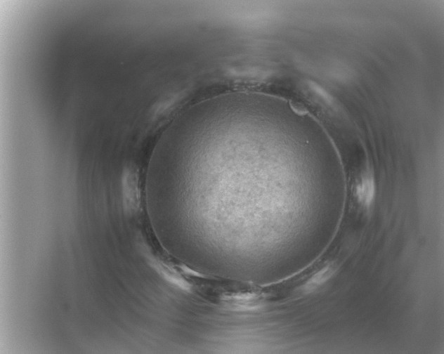 X0000071761252200607142353