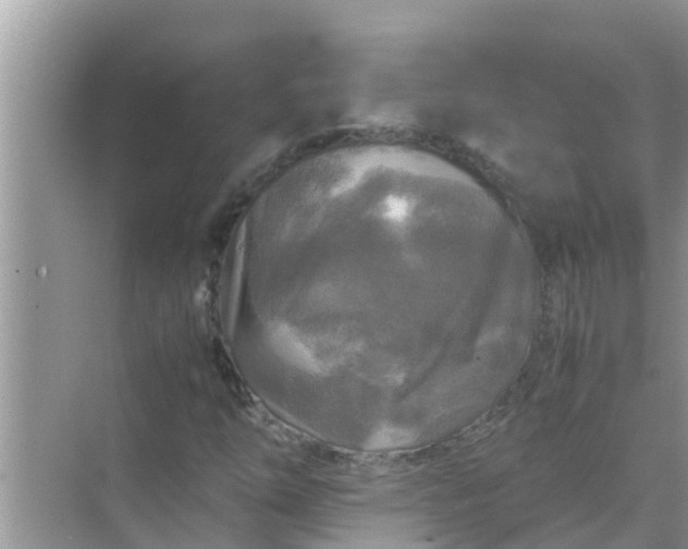 X0000071761254200607142353