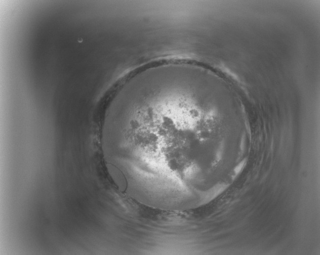 X0000071761255200607142353