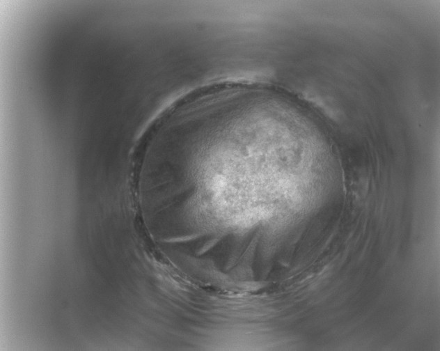 X0000071761256200607142353