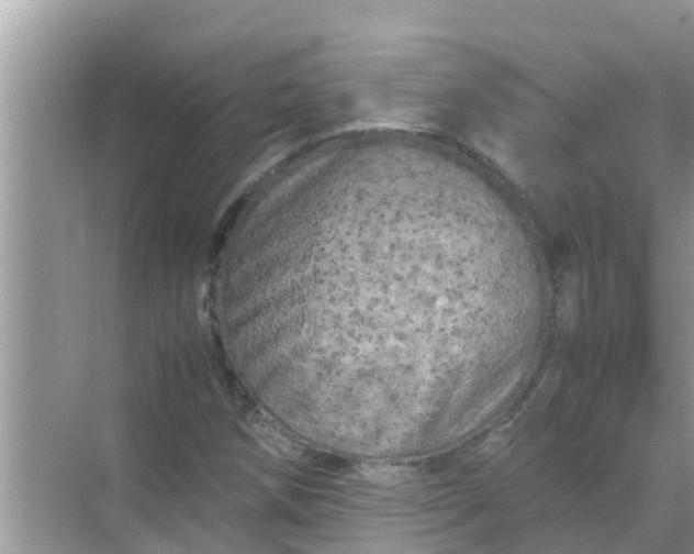 X0000071761258200607142353