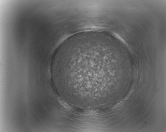 X0000071761259200607142353