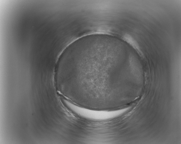 X0000071761260200607142353