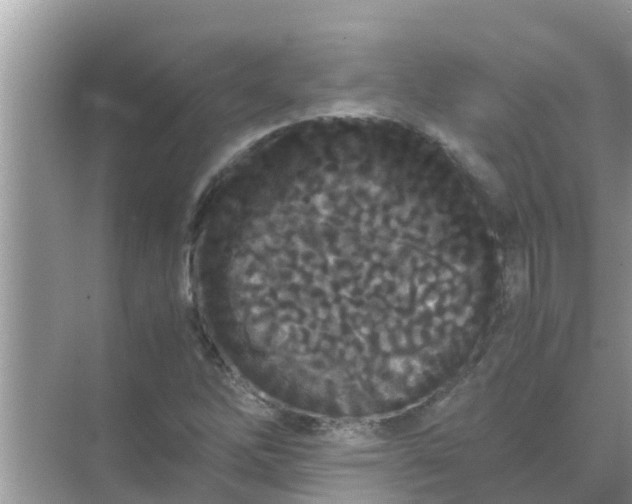 X0000071761262200607142353