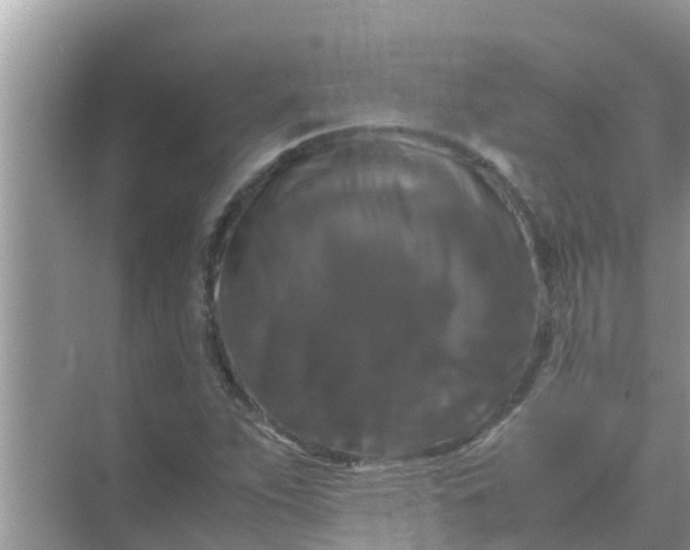 X0000071761263200607142353