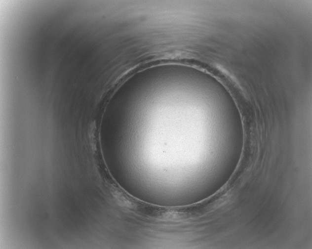 X0000071761265200607142353