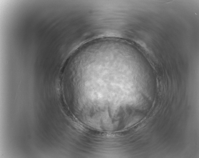 X0000071761266200607142353