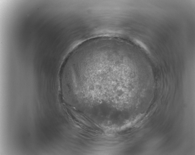 X0000071761267200607142353