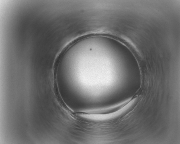 X0000071761270200607142353