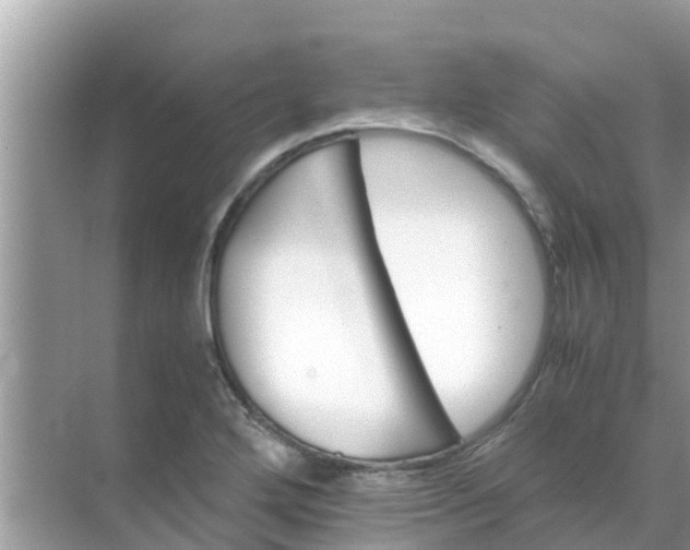 X0000071761272200607142353