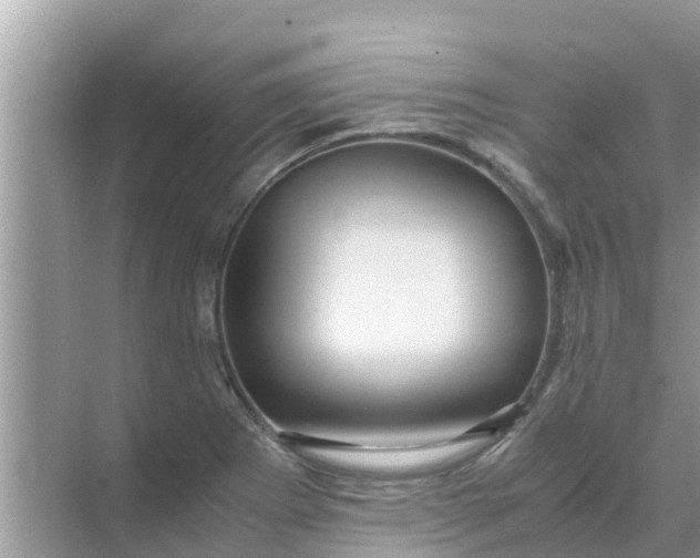 X0000071761273200607142353