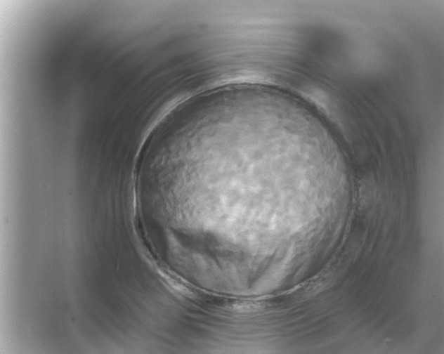 X0000071761274200607142353