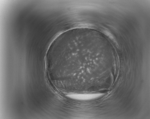 X0000071761275200607142353