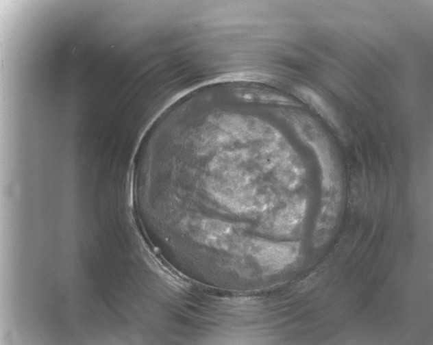 X0000071761276200607142353