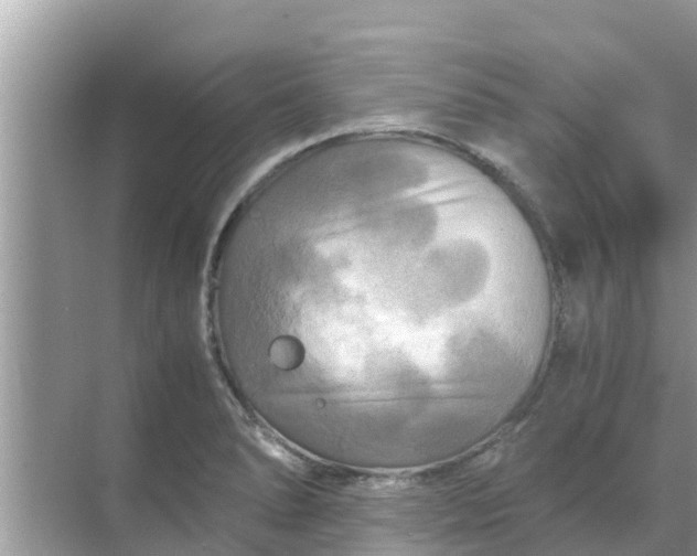 X0000071761278200607142353