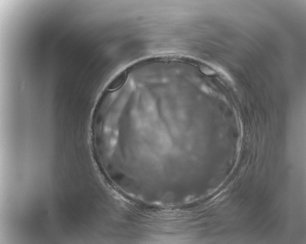 X0000071761279200607142353