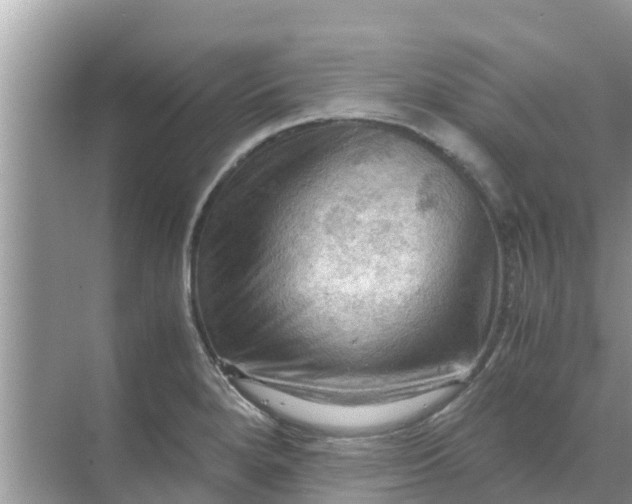 X0000071761280200607142353