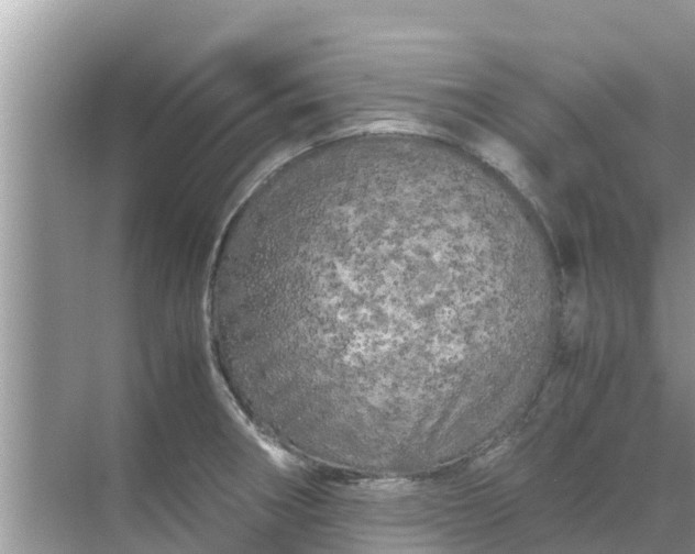 X0000071761282200607142353